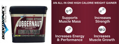 Mass Attack Juggernaut - Lean Weight Gain Protein Powder - Flavoured