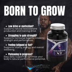 TestoFen XT supplement - Highest Potency Formula - 60 Capsules